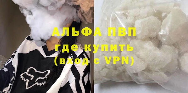 сатива Кинешма