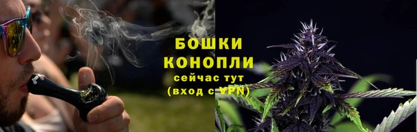 сатива Кинешма