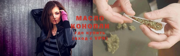 сатива Кинешма