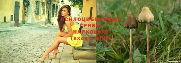 сатива Кинешма