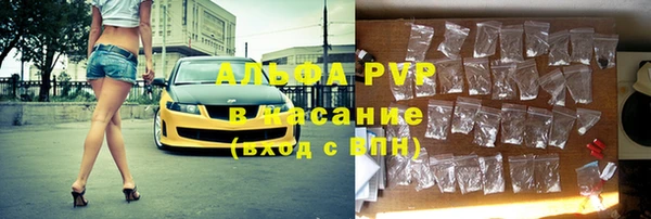 сатива Кинешма