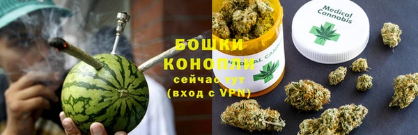 сатива Кинешма